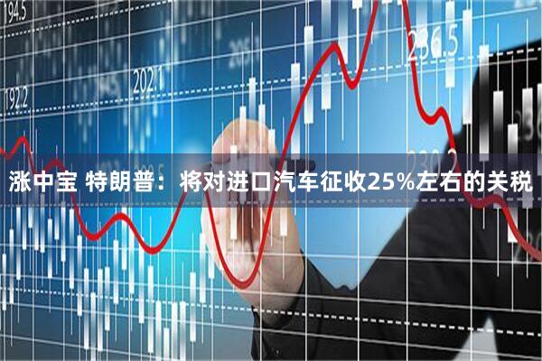 涨中宝 特朗普：将对进口汽车征收25%左右的关税