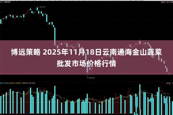 博远策略 2025年11月18日云南通海金山蔬菜批发市场价格行情