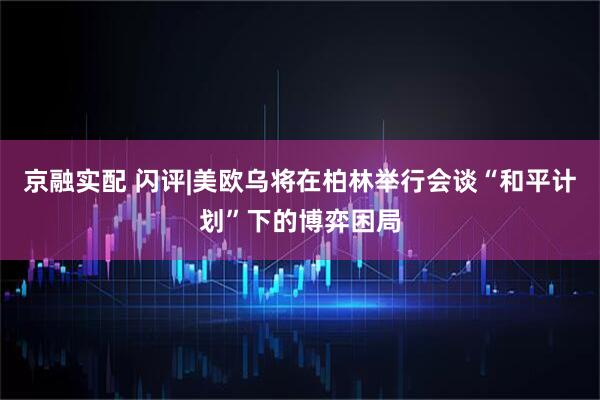 京融实配 闪评|美欧乌将在柏林举行会谈“和平计划”下的博弈困局
