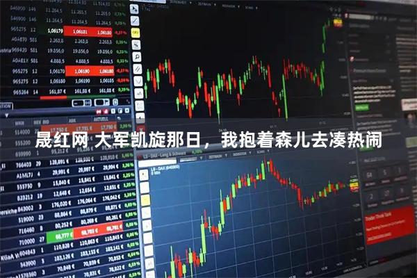 晟红网 大军凯旋那日，我抱着森儿去凑热闹