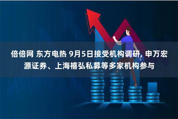 倍倍网 东方电热 9月5日接受机构调研, 申万宏源证券、上海禧弘私募等多家机构参与