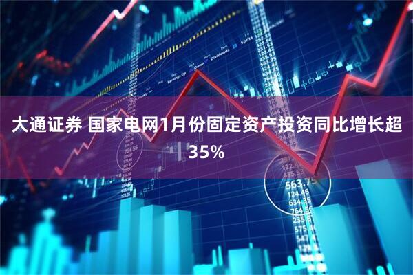 大通证券 国家电网1月份固定资产投资同比增长超35%